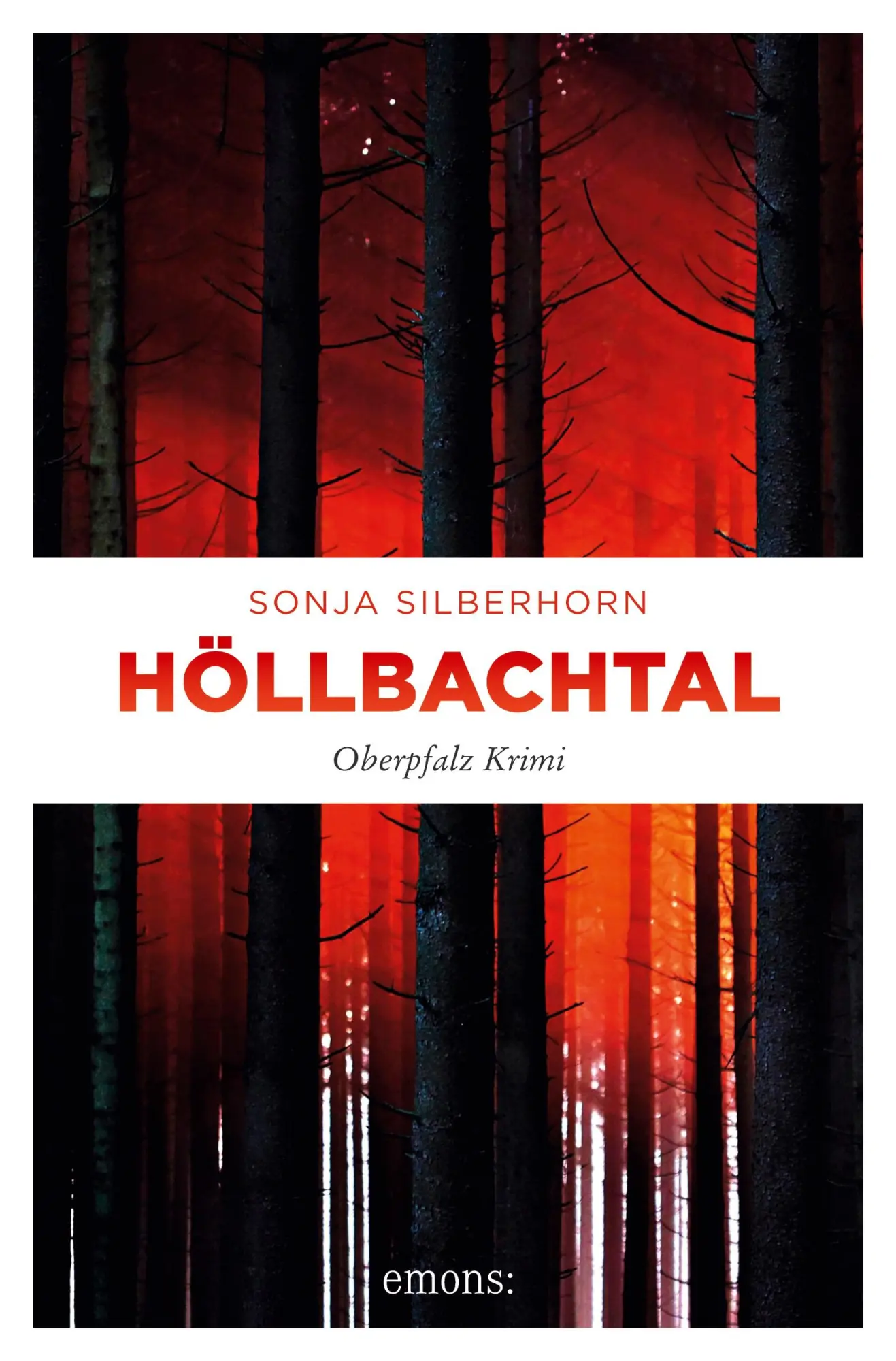 Cover: 9783740809683 | Höllbachtal | Oberpfalz Krimi | Sonja Silberhorn | Taschenbuch | 2021